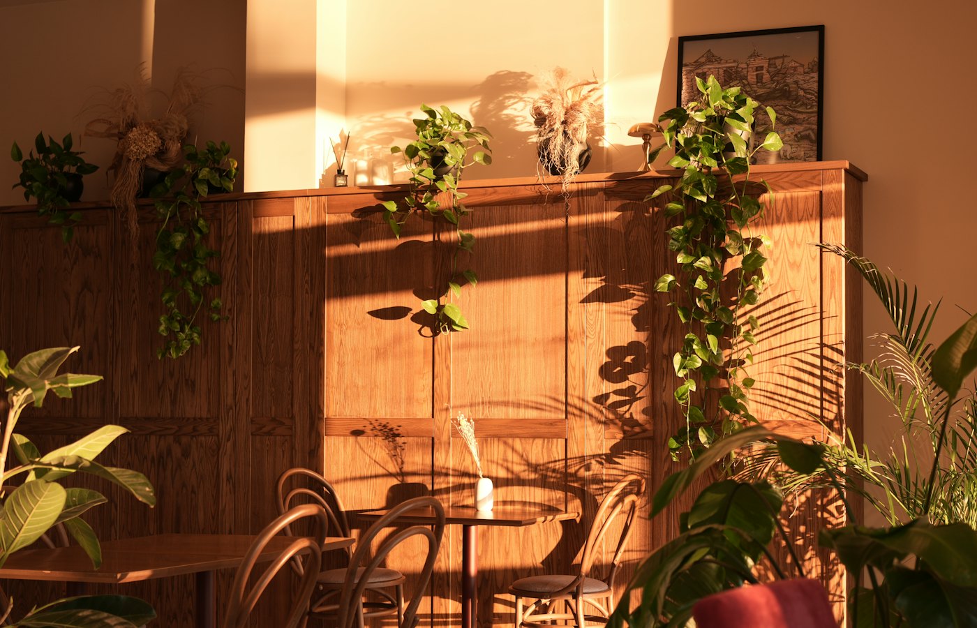 Sunlit seating at Slow Pour Coffee